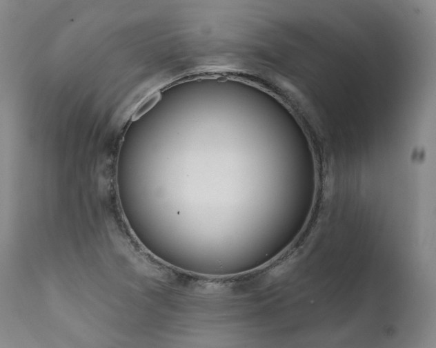 X0000112021361200908031347