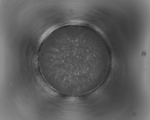 X0000112021362200908031347