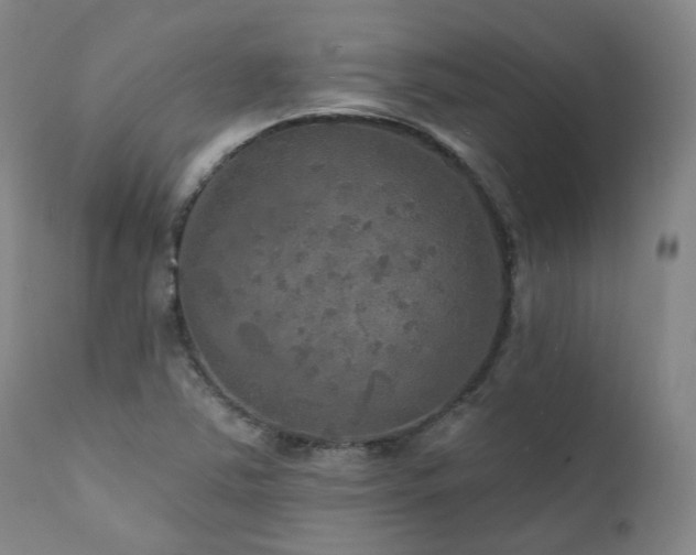 X0000112021363200908031347