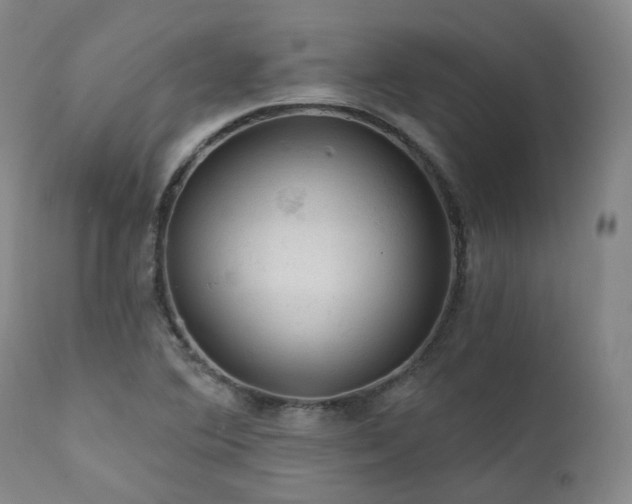 X0000112021364200908031347