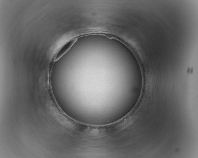 X0000112021365200908031347