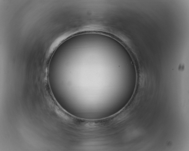 X0000112021366200908031347