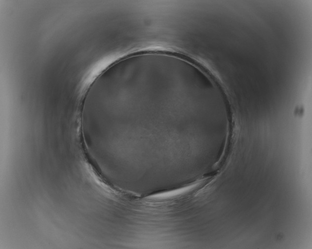 X0000112021367200908031347