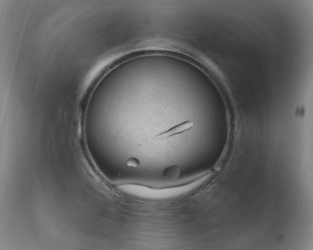 X0000112021368200908031347