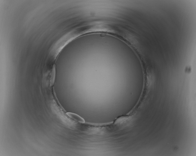 X0000112021369200908031347