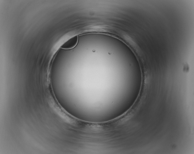 X0000112021370200908031347