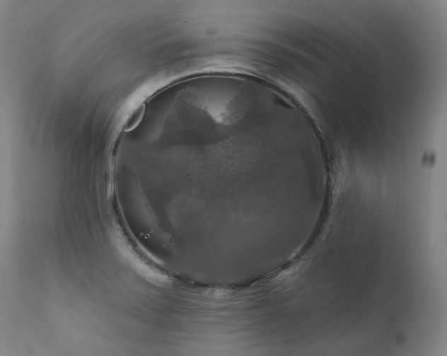 X0000112021371200908031347