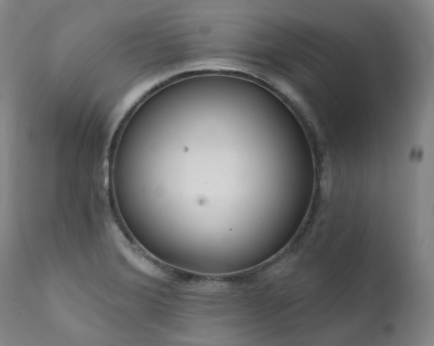 X0000112021372200908031347