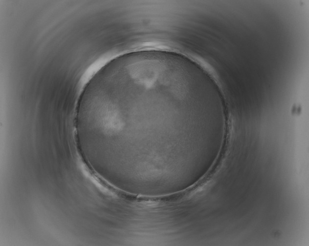 X0000112021373200908031347