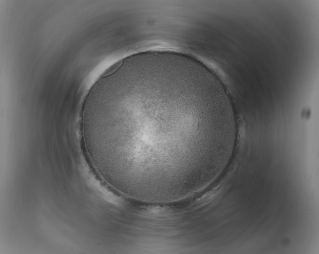 X0000112021375200908031347