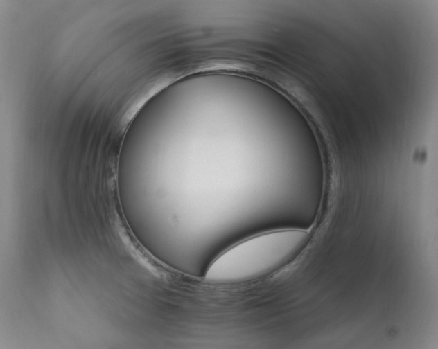 X0000112021377200908031347