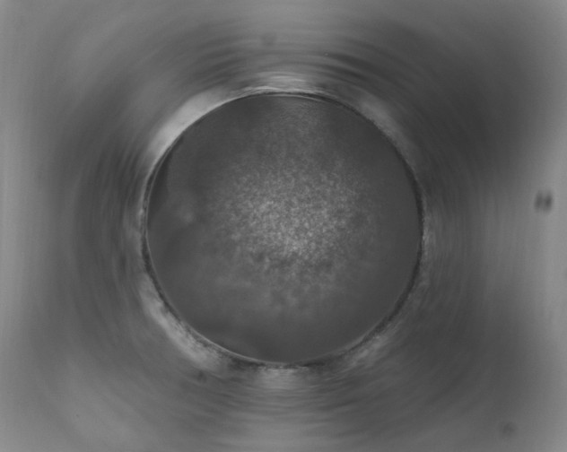 X0000112021378200908031347