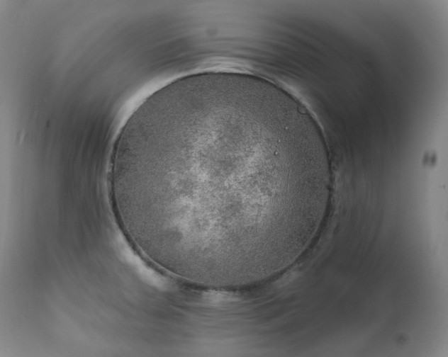 X0000112021379200908031347