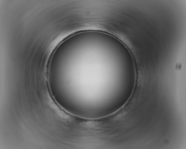 X0000112021380200908031347