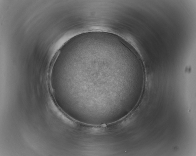 X0000112021381200908031347