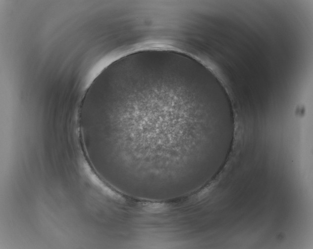 X0000112021382200908031347