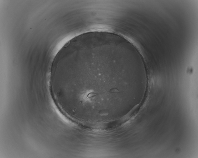 X0000112021383200908031347