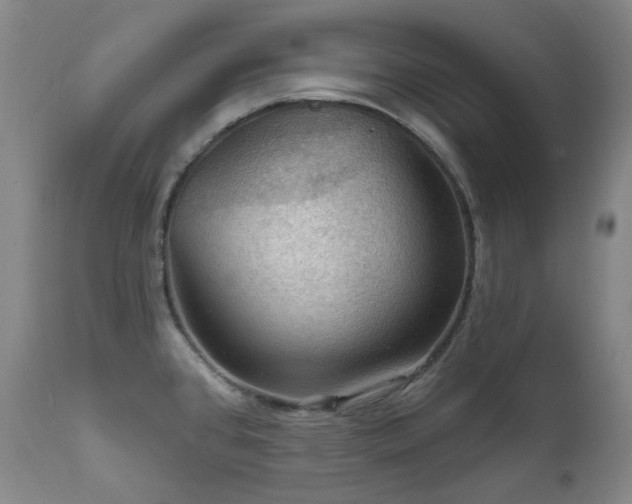 X0000112021384200908031347