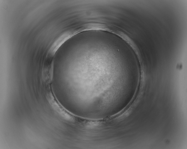 X0000112021385200908031347