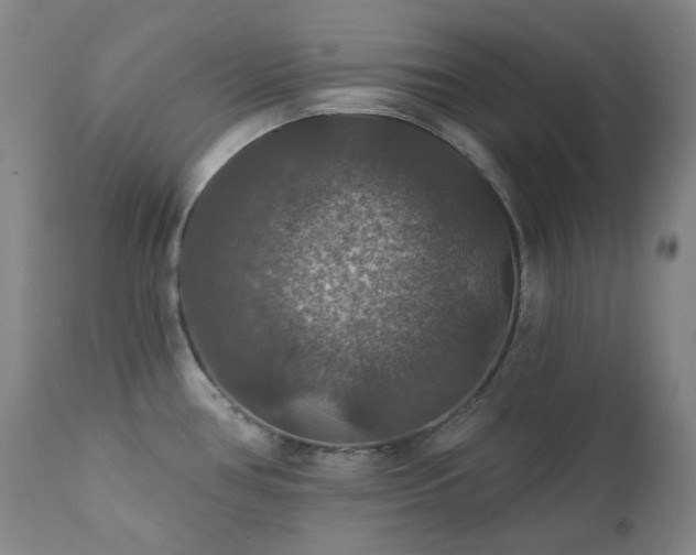 X0000112021386200908031347