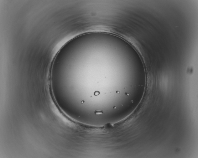 X0000112021387200908031347