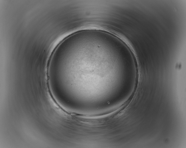 X0000112021388200908031347