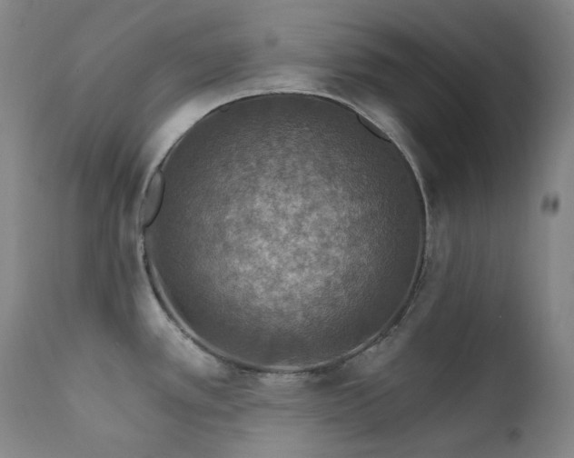 X0000112021389200908031347