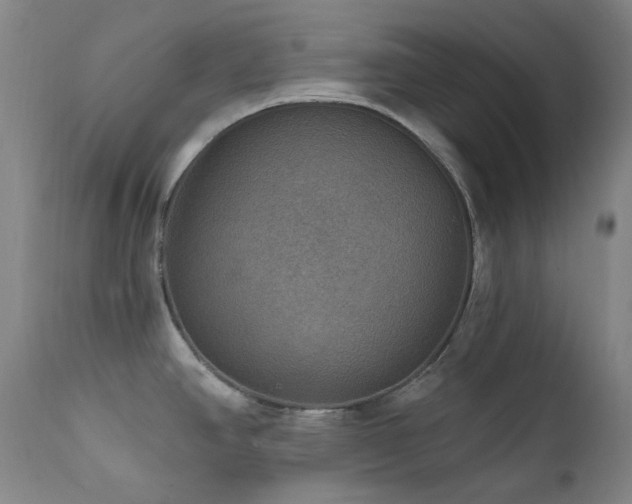 X0000112021390200908031347