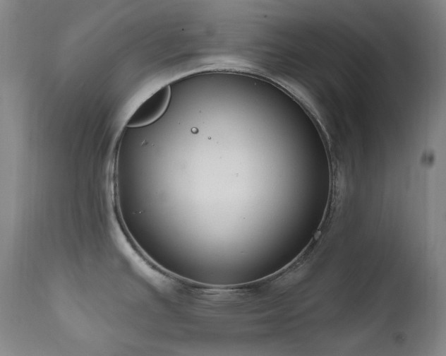 X0000112021391200908031347