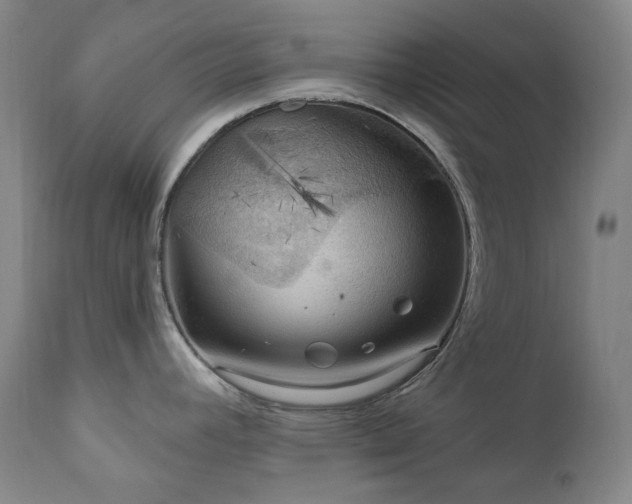 X0000112021392200908031346