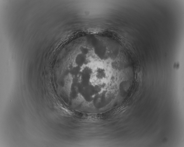 X0000112021393200908031346