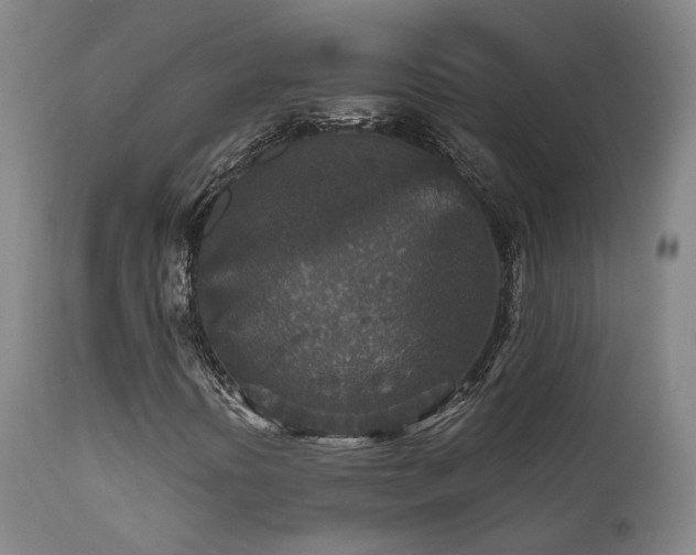 X0000112021394200908031346