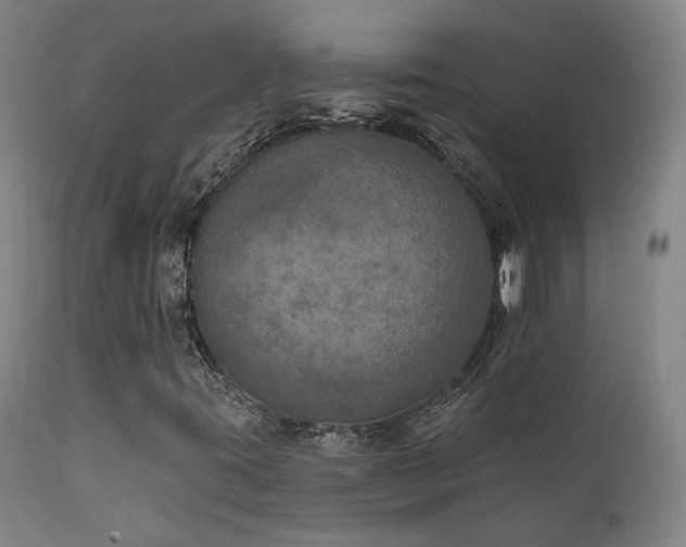 X0000112021395200908031346