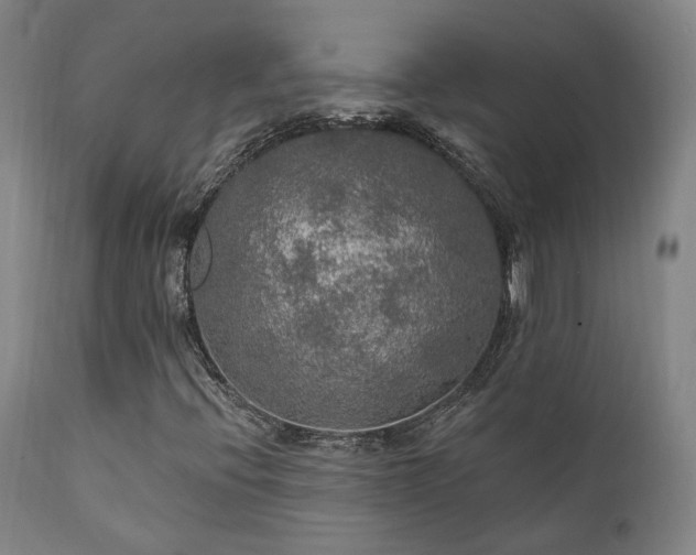 X0000112021396200908031346