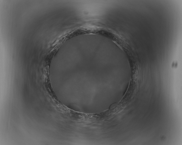 X0000112021397200908031346