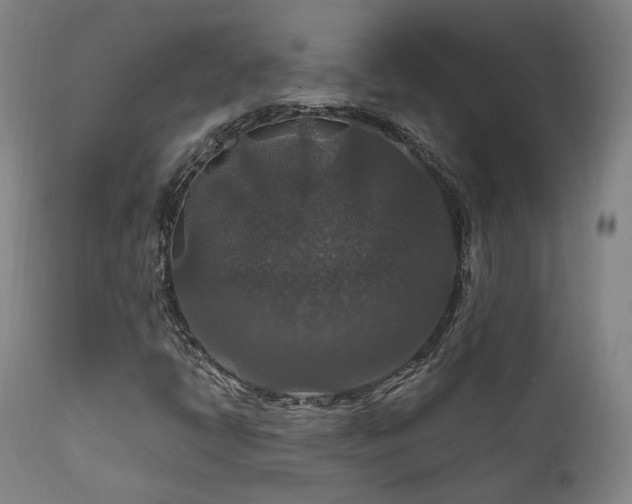 X0000112021398200908031346