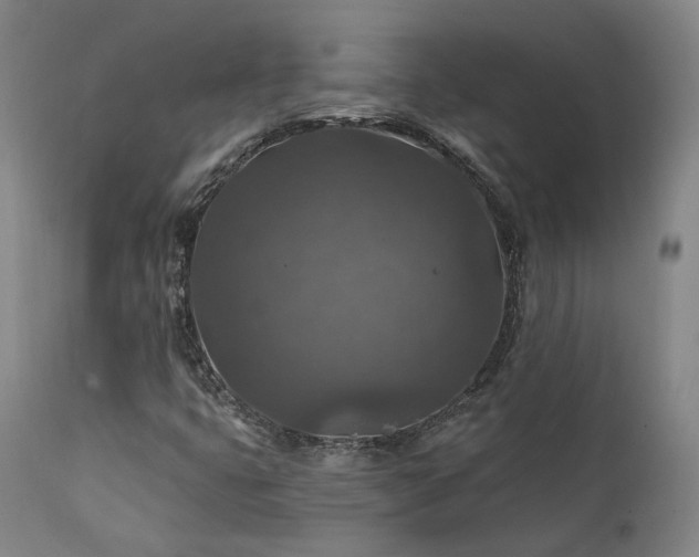 X0000112021399200908031346