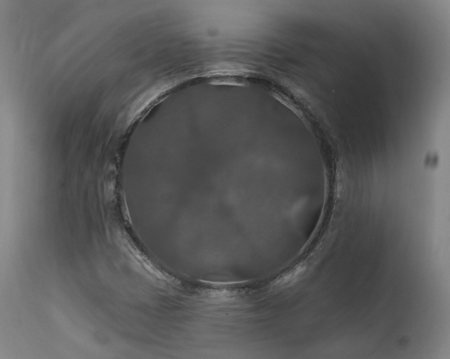 X0000112021401200908031346