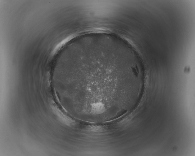 X0000112021402200908031346