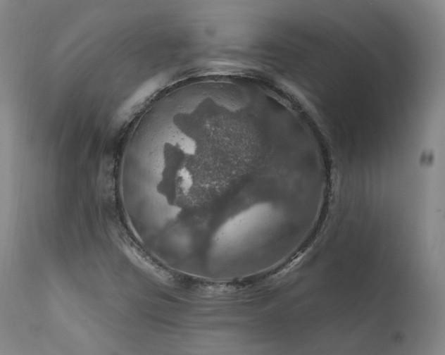 X0000112021403200908031346