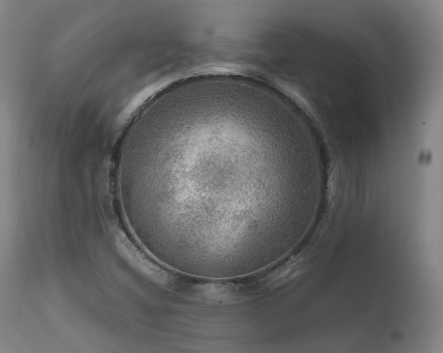 X0000112021404200908031346