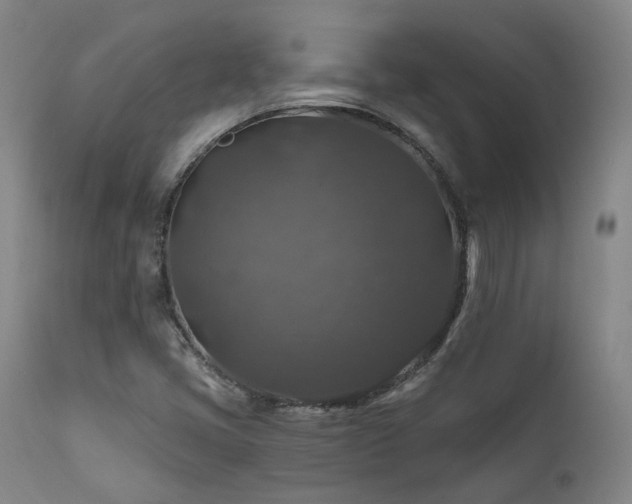 X0000112021405200908031346