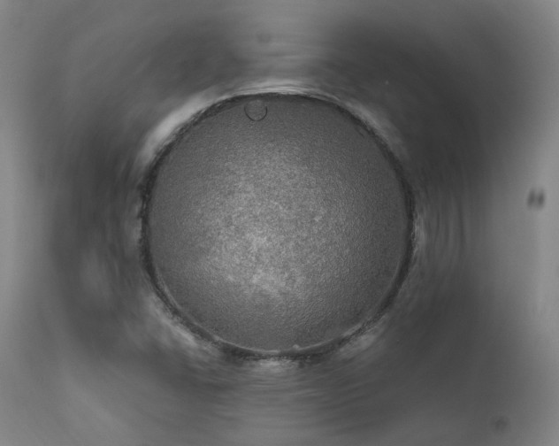 X0000112021406200908031346