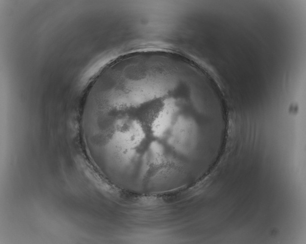 X0000112021407200908031346