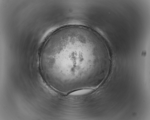 X0000112021408200908031346