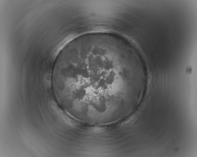 X0000112021409200908031346