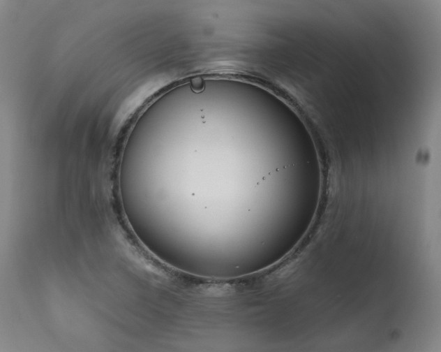 X0000112021410200908031346