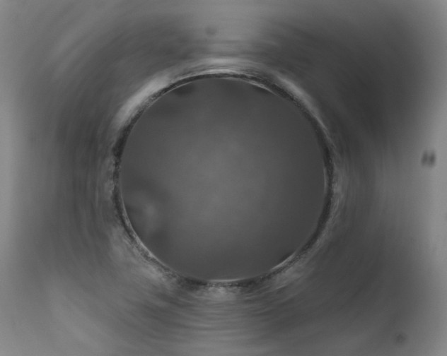 X0000112021411200908031346