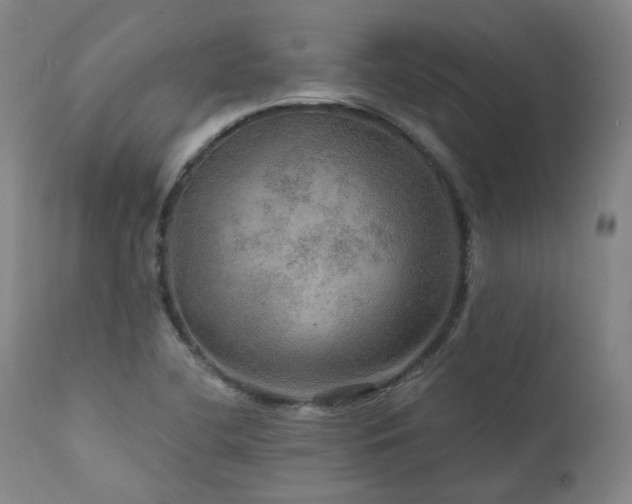 X0000112021412200908031346