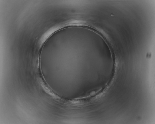 X0000112021413200908031346